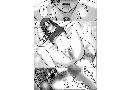 Manga hentai