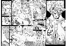 Manga hentai